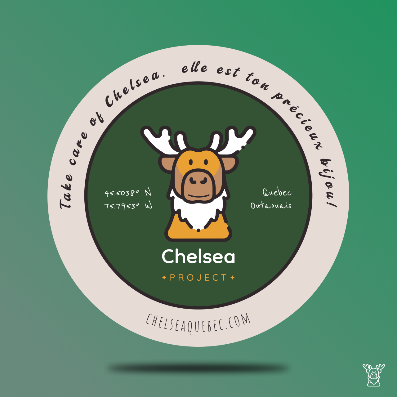 Chelsea Stickers Mega Pack