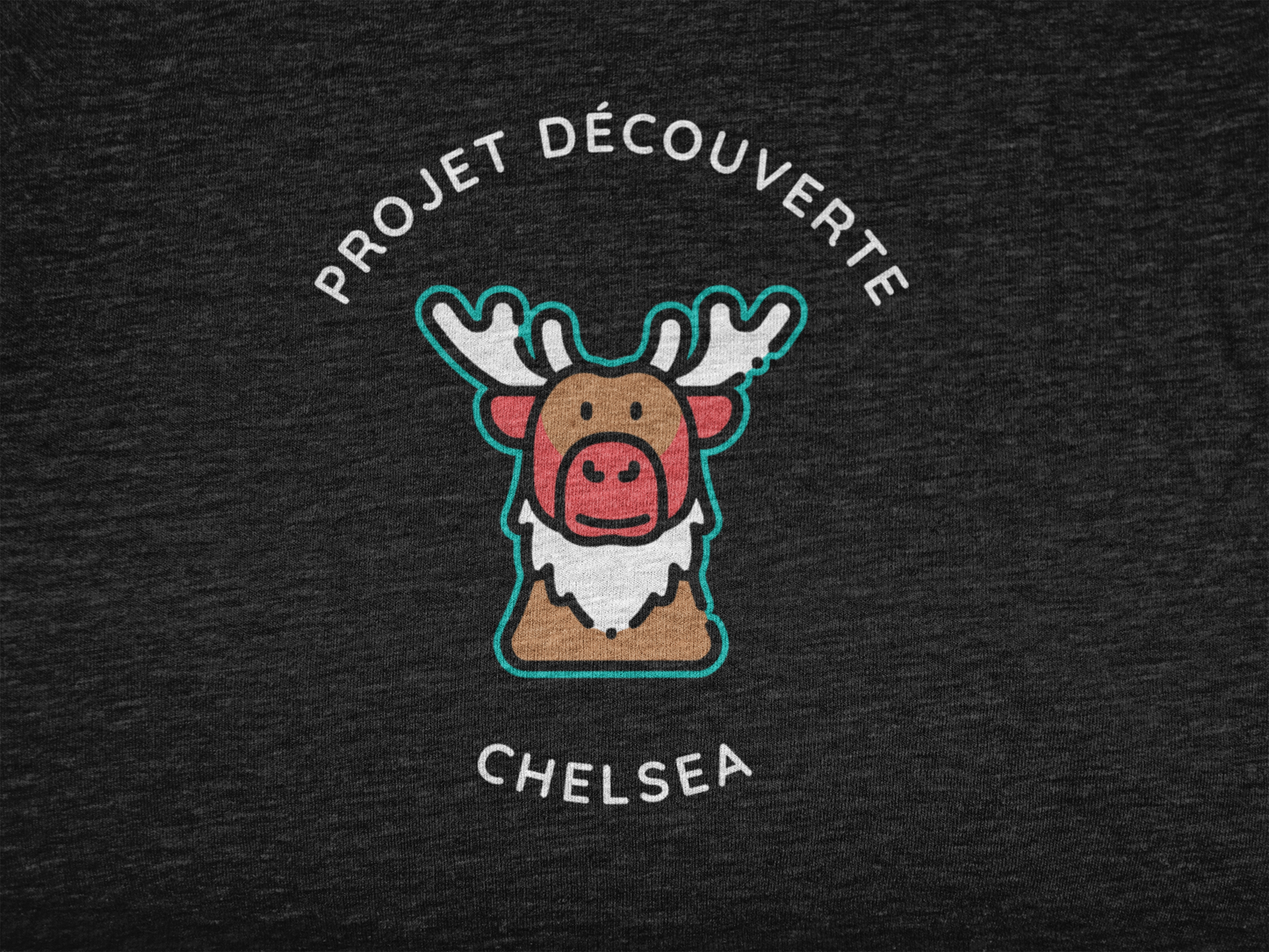 Projet Découverte Chelsea - Classic T-Shirt