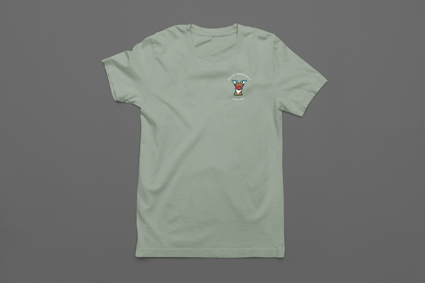 Projet Découverte Chelsea - Classic T-Shirt